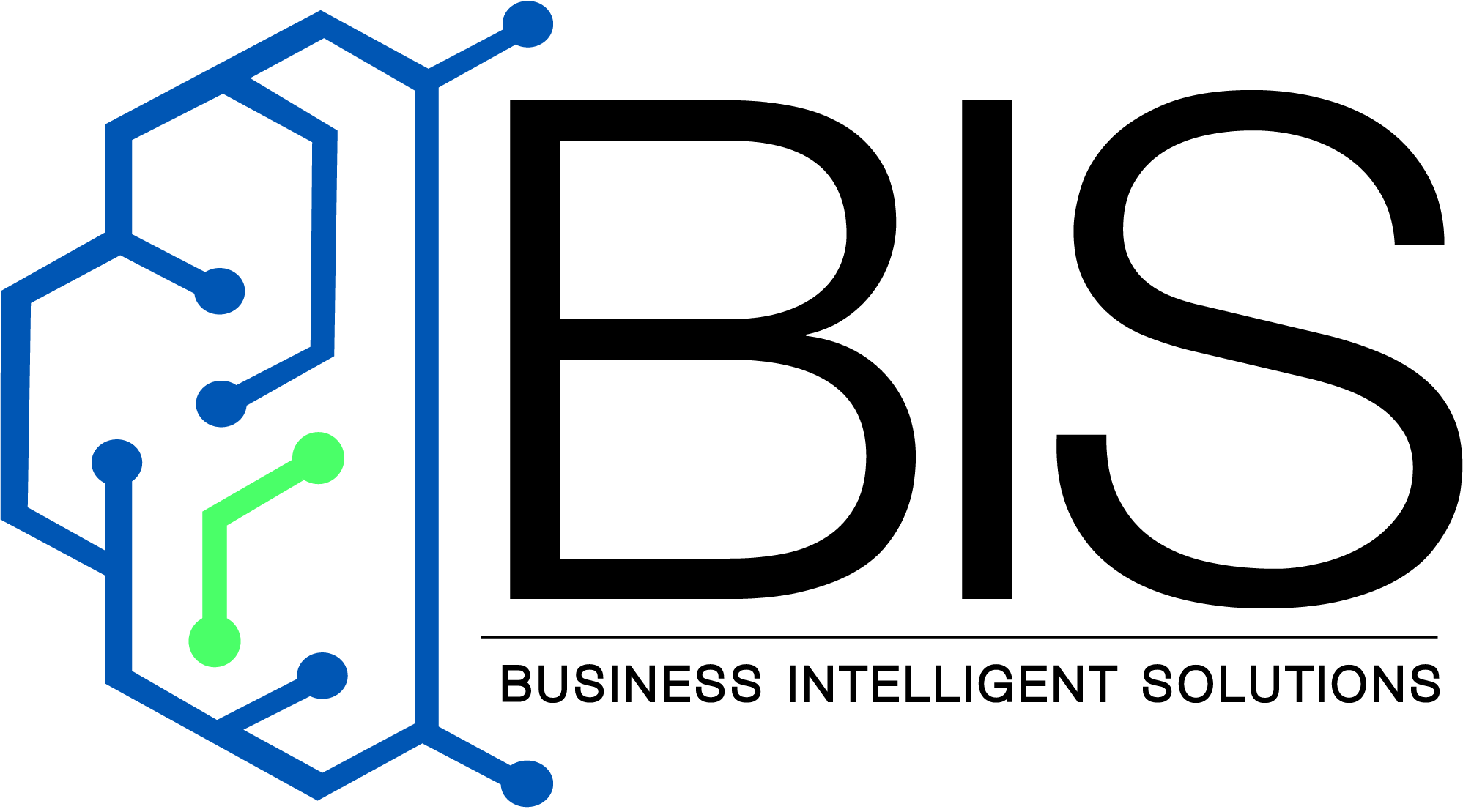 BIS Logo
